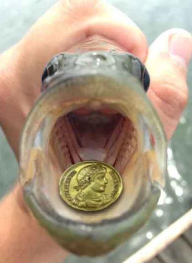 Coin Fish Mouth